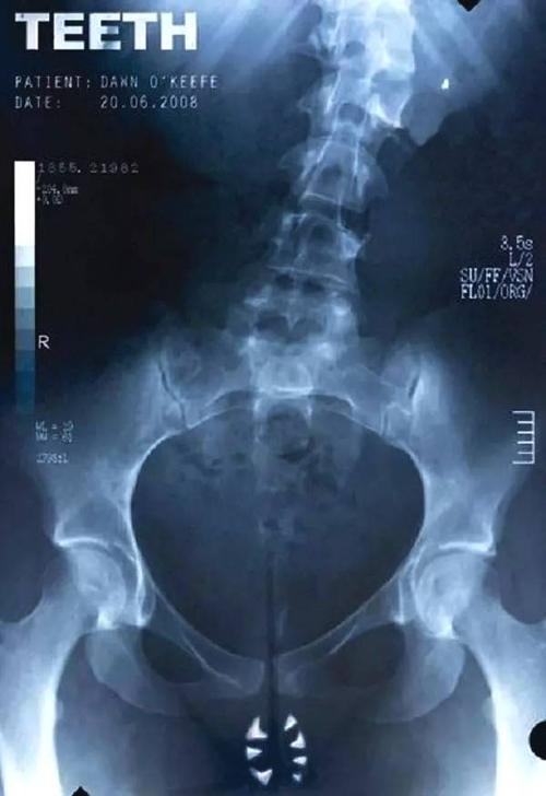 哪里能办安全工程师证